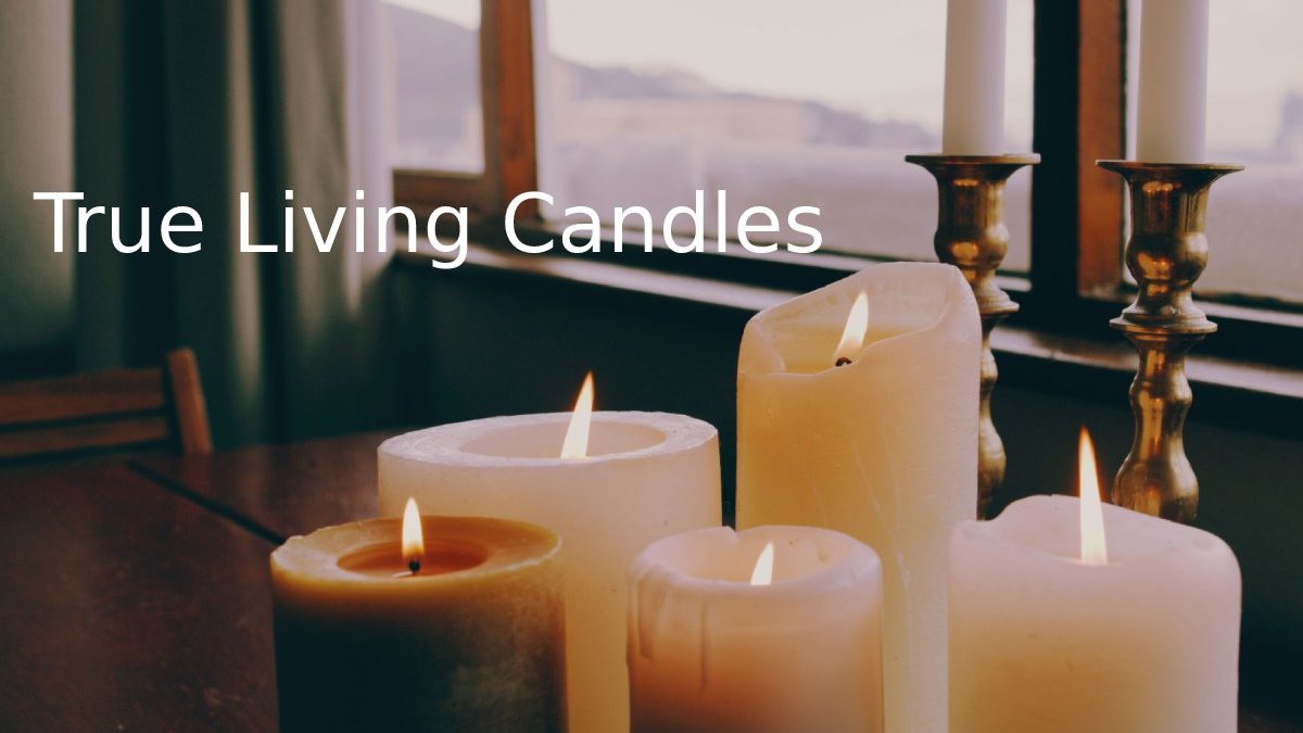 True Living Candles – All New Experiences