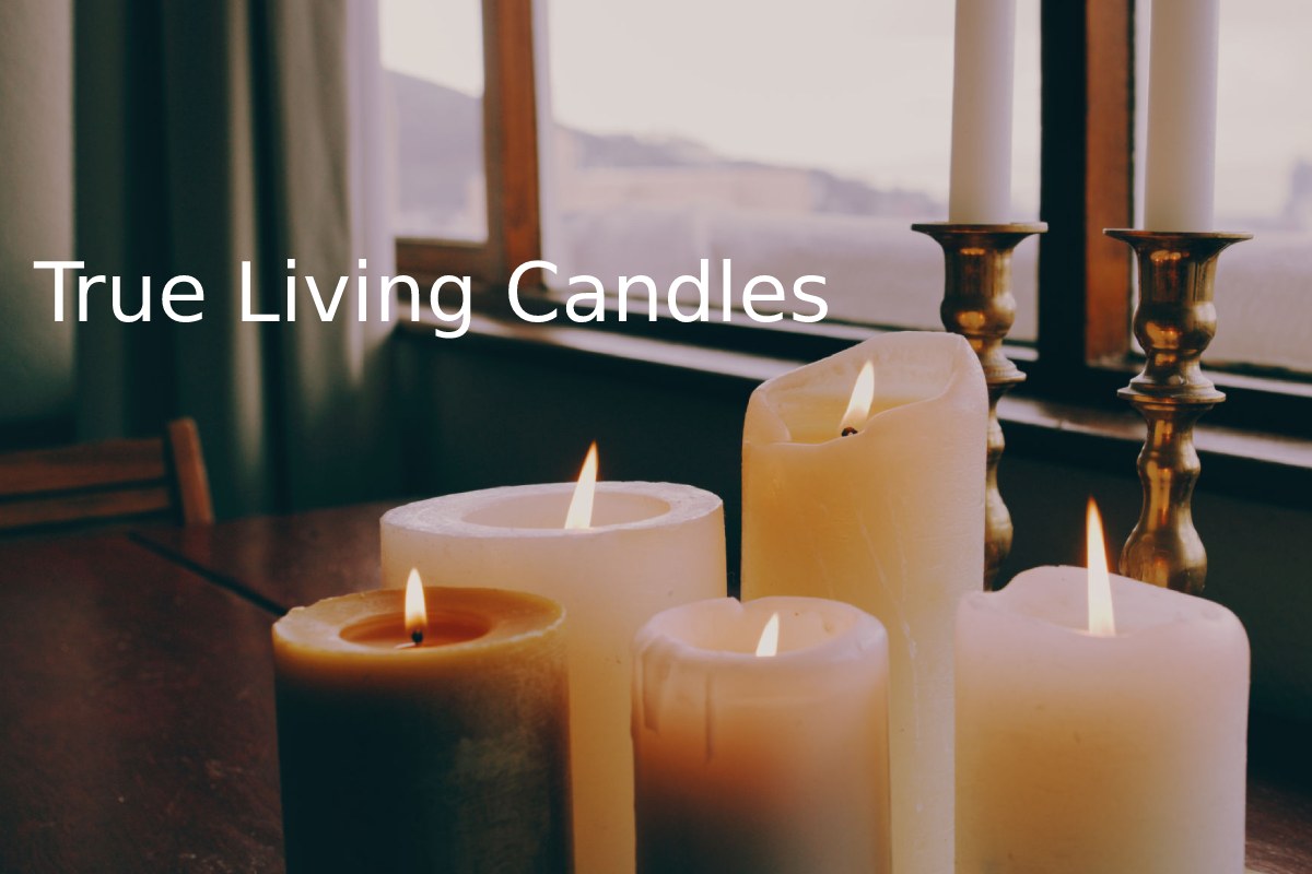 True Living Candles All New Experiences 2022