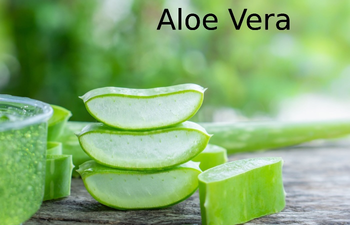 Aloe Vera