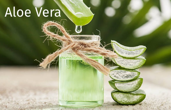 Aloe Vera