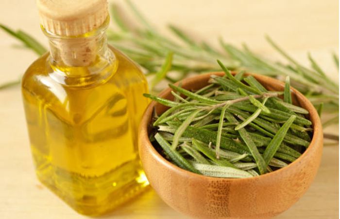 Application of Rosemary Hair Oil