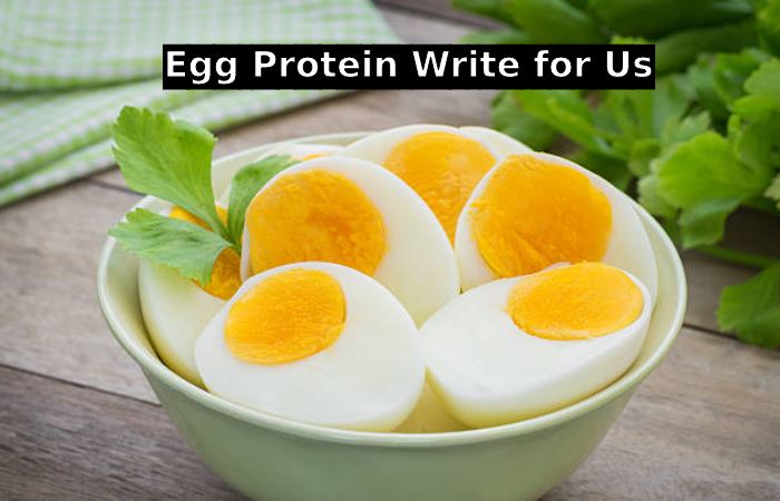 Egg Protein Write for Us
