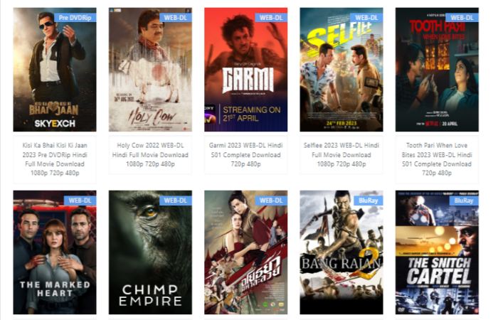 Categorization, Genres & Quality of Movies in Tamilblasters