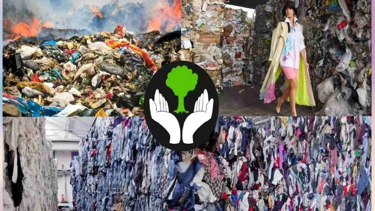 The Environmental Impact of Fast Fashion