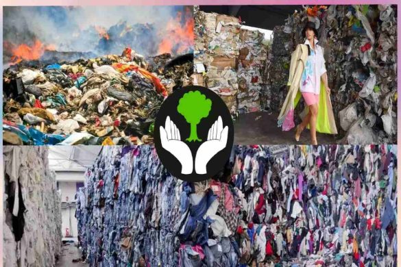 The Environmental Impact of Fast Fashion